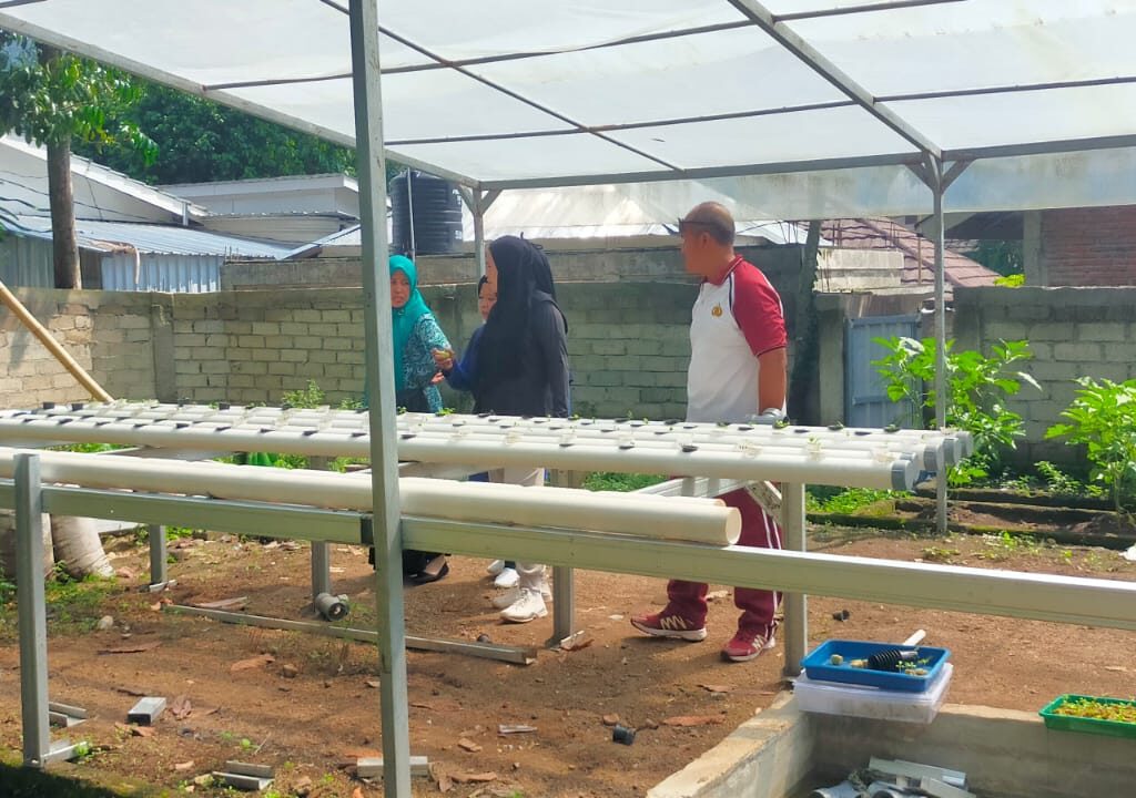 Program Lahan Bergizi: Inovasi Pangan Desa Lembahsari