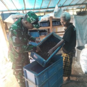 Kolaborasi Babinsa dan Warga: Pengembangan Usaha Maggot untuk Kurangi Limbah Organik