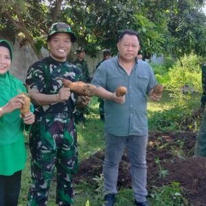 Kodim 1606/Mataram Sukses Gelar Panen Raya di Desa Sandik