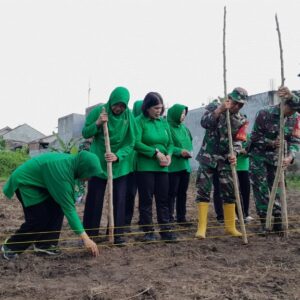 Kolaborasi TNI dan Masyarakat Wujudkan Suasembada Pangan di Sandik