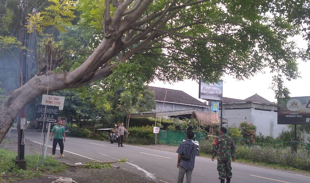 Antisipasi Bahaya, Polsek Batulayar Pangkas Pohon Rawan Tumbang