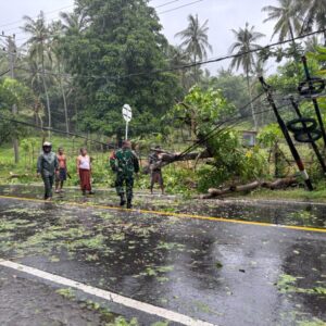 Kesigapan Tim Gabungan Atasi Pohon Tumbang di Senggigi