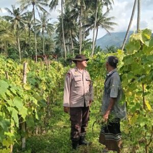 Mantap! Bhabinkamtibmas Batulayar Dampingi Warga Wujudkan Ketahanan Pangan Desa
