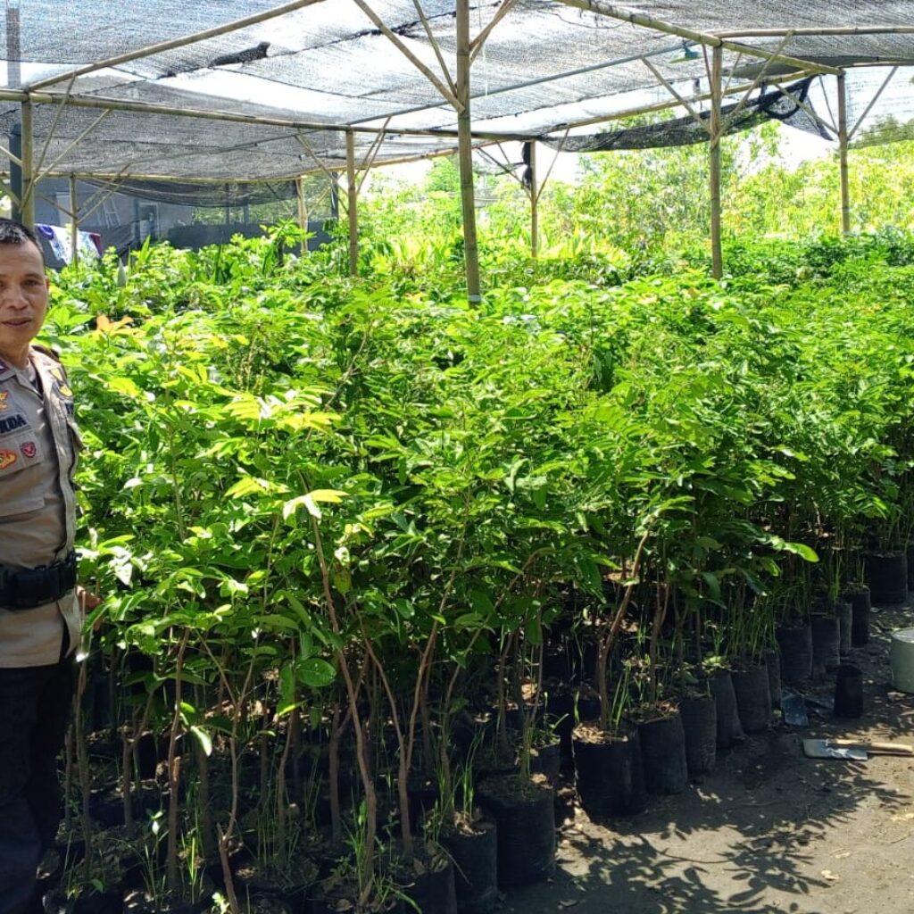 Pekarangan Bergizi: Inisiatif Polsek Labuapi Dukung Ketahanan Pangan Nasional