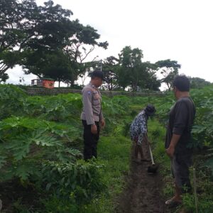 Sosialisasi Ketahanan Pangan, Petani Desa Jagaraga Semangat Bertani!