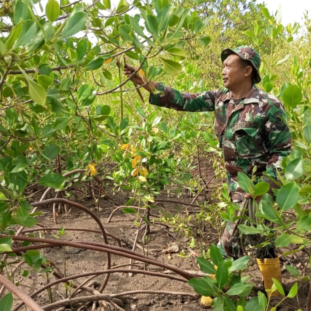 Dukung Ekosistem Pesisir, TNI dan Warga Tanam Mangrove di Lombok