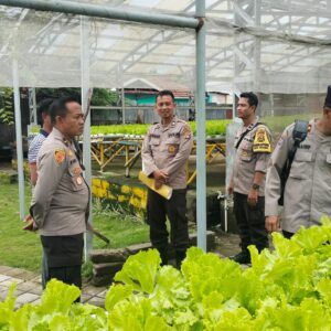 P2B di Labuapi: Kolaborasi Polisi, Pemuda Tani, dan Yayasan Pendidikan Tingkatkan Gizi Masyarakat