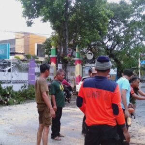 Aksi Sigap Babinsa dan BPBD Mataram Atasi Pohon Tumbang