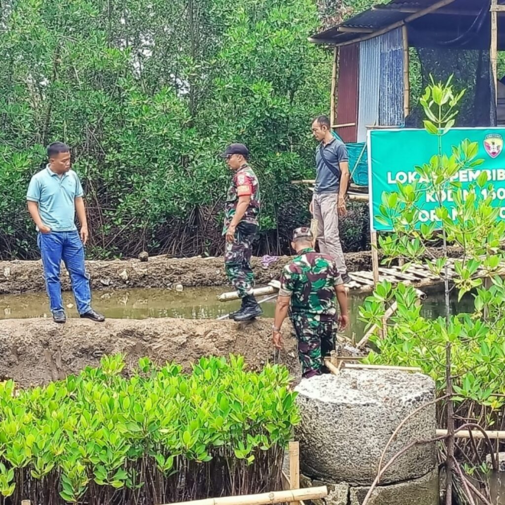 Dandim 1606/Mataram Tinjau Pembibitan Mangrove di Gerung 