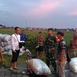 Bulog NTB Jamin Gabah Petani Terbeli, Harga Rp6.500/Kg!