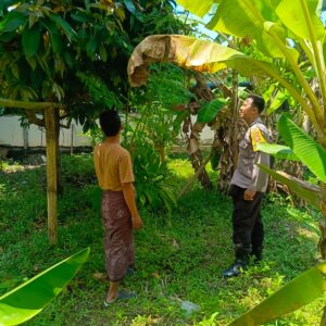 Sinergi Bhabinkamtibmas & Warga: Pekarangan Rumah Jadi Sumber Gizi