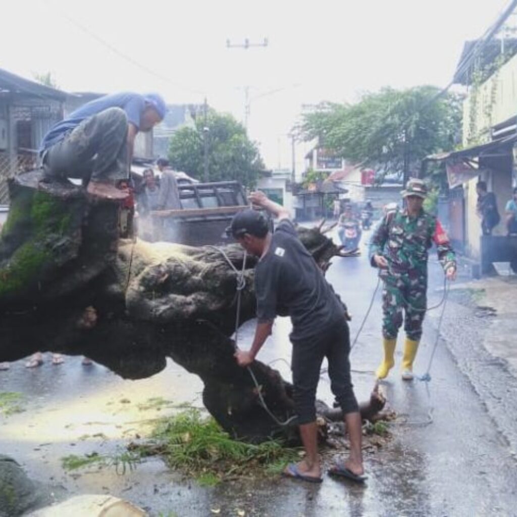 Babinsa dan Warga Bersihkan Pohon Tumbang di Mataram