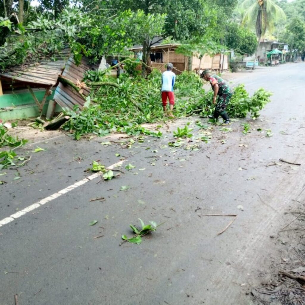 Cuaca Ekstrem di Lombok Barat, Warga Diimbau Waspada Pohon Tumbang