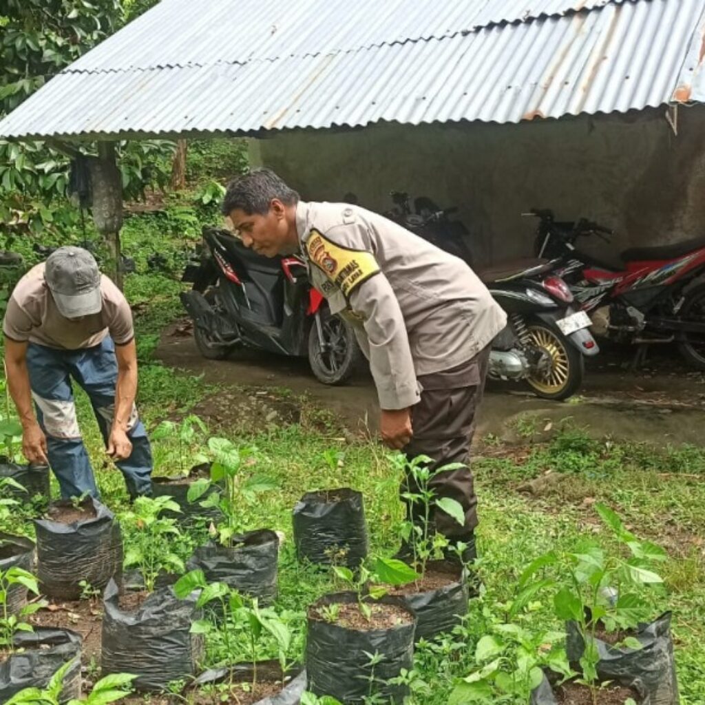 Sinergi Polri dan Warga di Desa Batulayar, Ketahanan Pangan Kian Kuat