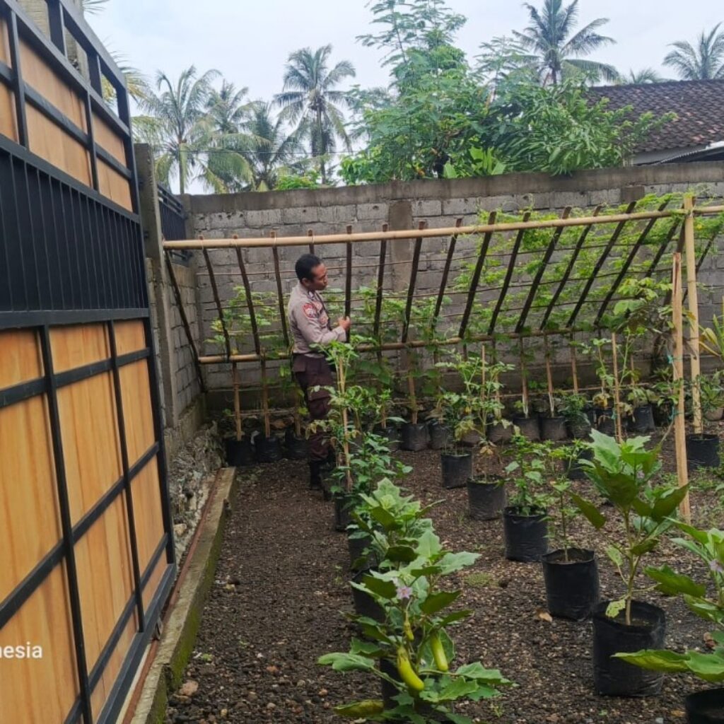 Warga Desa Kuripan Utara Diajak Manfaatkan Lahan, Ketahanan Pangan Diperkuat