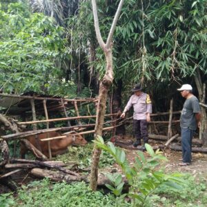 Bhabinkamtibmas Batulayar Edukasi Warga Soal Pekarangan Produktif