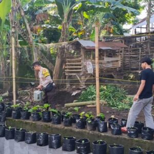 Aksi Nyata Pemuda Lombok Barat Peduli Lingkungan