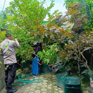 Bhabinkamtibmas Labuapi Sambangi Warga, Motivasi Kebun Pekarangan Bergizi