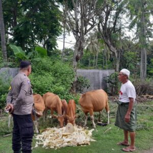 Bhabinkamtibmas Senggigi Gerak Cepat: Petani & Ternak Jadi Fokus Ketahanan Pangan NTB