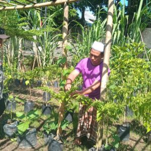 Bhabinkamtibmas Lembahsari Dorong Pemanfaatan Pekarangan untuk Tanaman Gizi