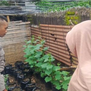 Polisi di Lombok Ini Keren! Ajak Warga Manfaatkan Lahan Nganggur Jadi Produktif