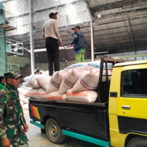 TNI Hadir untuk Petani: Koramil Sekotong Dukung Kesejahteraan Petani Lewat Penyerapan Gabah