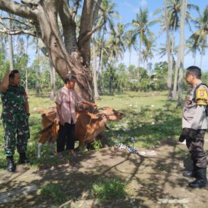 Polri Dorong Kemandirian Pangan Lewat Sosialisasi Pekarangan