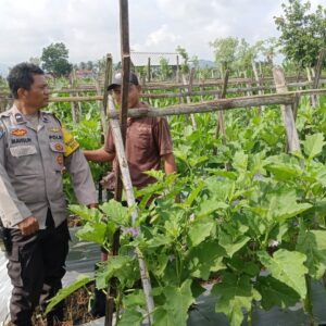 Optimalisasi Pekarangan Pangan Bergizi melalui Sambang Bhabinkamtibmas