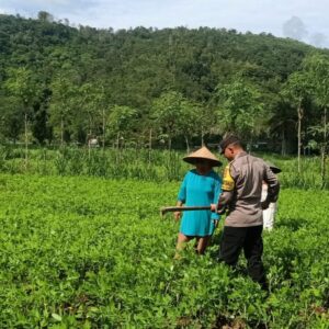 Sinergi Polisi dan Petani Wujudkan Kemandirian Pangan