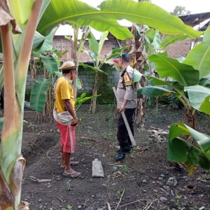 Optimalisasi Potensi Lokal, Desa Merembu Siap Swasembada Pangan
