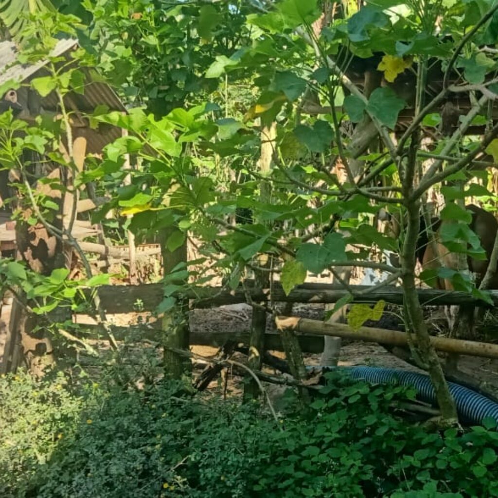 Silaturahmi Polri dan Peternak di Sekotong, Wujudkan Harkamtibmas dan Swasembada Pangan