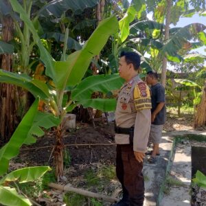 Inisiatif Bhabinkamtibmas: Memperkuat Ketahanan Pangan Melalui Kerja Sama dengan Masyarakat Desa Terong Tawah