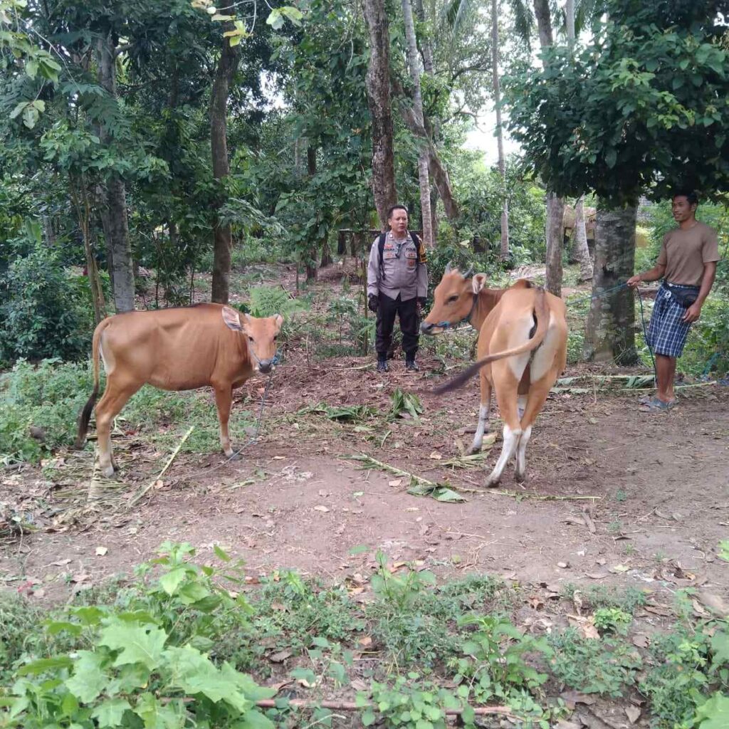 Bhabinkamtibmas Desa Batulayar Barat Dorong Pemanfaatan Pekarangan untuk Ketahanan Pangan