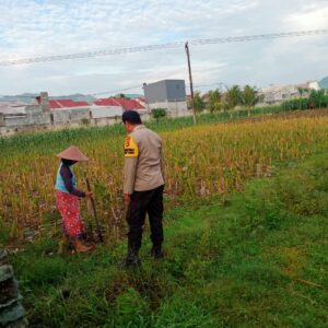 Bhabinkamtibmas Dorong Warga Karang Bongkot Tanam Komoditas Pangan