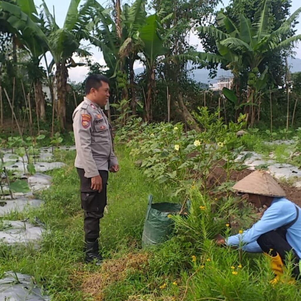 Mendorong Ketahanan Pangan di Desa Jagaraga: Peran Polri dan Masyarakat