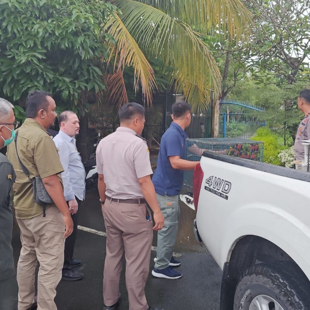 Pengamanan 81 Burung Tanpa Dokumen di Lombok Barat, Termasuk Satwa Dilindungi