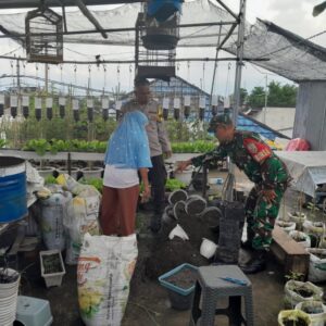 Kunjungan ke KWT Cendrawasih, Babinsa Bersama Bhabinkamtibmas dan Kasi Sosial Dorong Pertanian Organik di Bertais