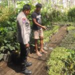 Ketahanan Pangan Dimulai dari Desa: Inisiatif Banyumulek Barat