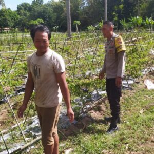 Polisi Aktif Bina Petani Cabai, Dorong Ketahanan Pangan Lombok Barat