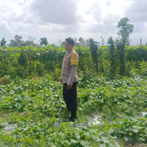 Bhabinkamtibmas Aktif Bina Petani Desa Beleka NTB
