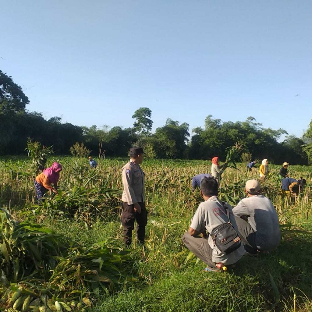 Inisiatif Ketahanan Pangan di Dusun Tambang Eleh Dapat Dukungan Polri