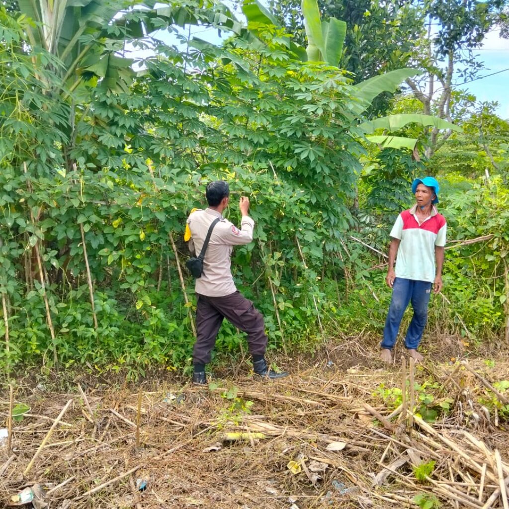 Bhabinkamtibmas Desa Rumak Aktif Edukasi Warga Soal Swasembada Pangan