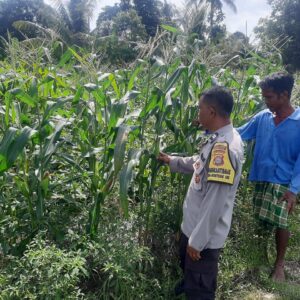 Bhabinkamtibmas Dorong Swasembada Pangan di Desa Montong Are