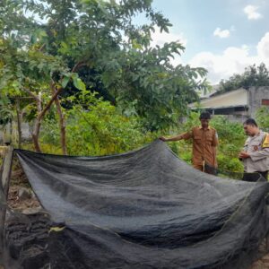 Ketahanan Pangan Dimulai dari Dusun: Inisiatif Hijau Warga Gelogor Selatan