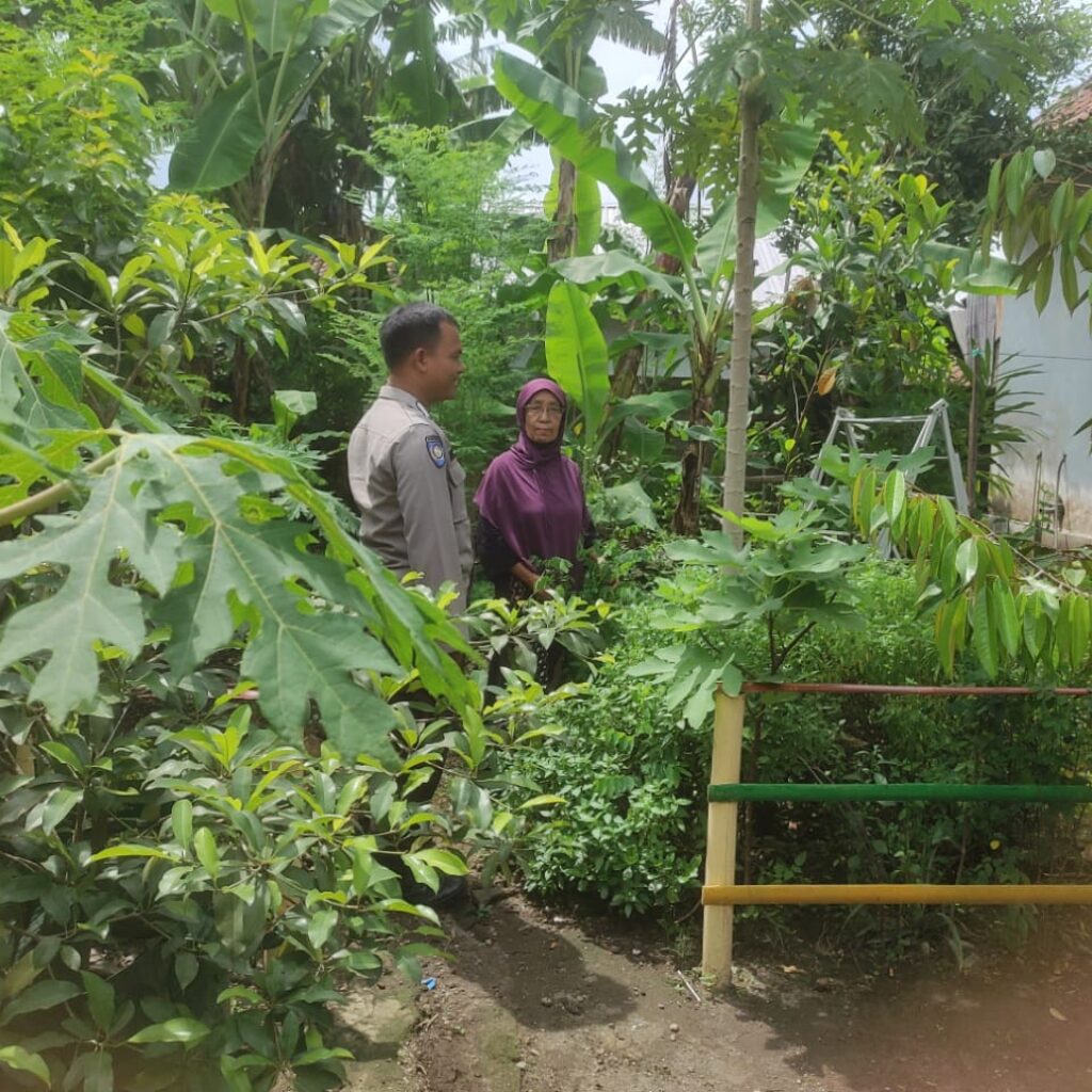 Ketahanan Pangan Dimulai dari Pekarangan: Inisiatif Polsek Gerung
