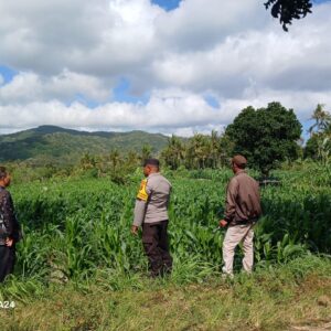 Sambang Petani di Gerung, Polri Tekankan Perawatan Tanaman Berkelanjutan