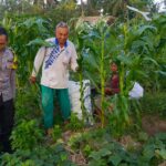 Polri Dampingi Petani di Grepek, Perkuat Ketahanan Pangan