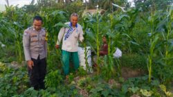 Bhabinkamtibmas Kuripan Utara Dukung Ketahanan Pangan Lokal