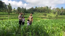 Polri Dampingi Ketahanan Pangan di Desa Mareje