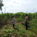 Peran Aktif Polisi Desa Sekotong Barat Dorong Produktivitas Petani